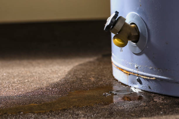 Best Flooded house restoration  in Linden, TN