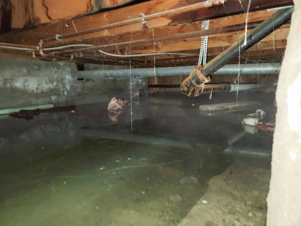 Best Fire Damage Restoration  in Linden, TN