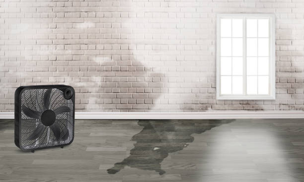 Best Water damage restoration cost  in Linden, TN